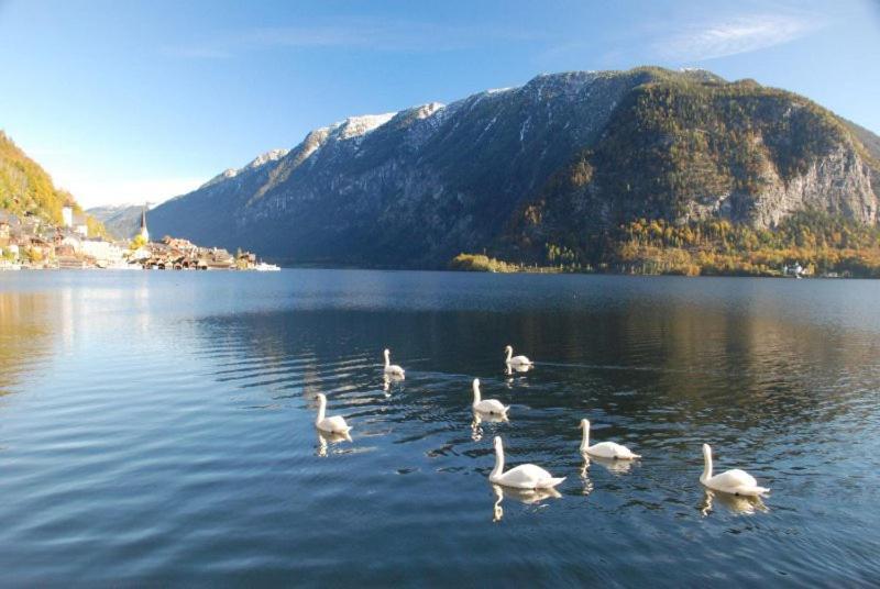Ferienwohnung Krafttanken Hallstatt Kültér fotó